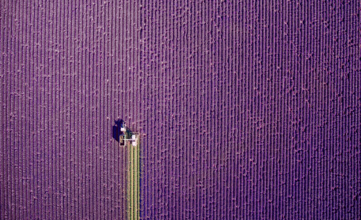 1088406 (a): :1920x1172